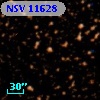 NSV 11628