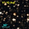 V* IQ Aql