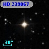 HD 239067