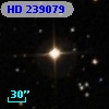 HD 239079