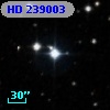 HD 239003
