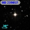 HD 239057