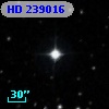 HD 239016