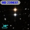 HD 239037