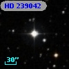 HD 239042