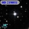 HD 239055
