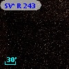 SV* R   243