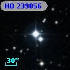 HD 239056