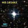 HD 181442