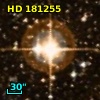 HD 181255