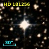 HD 181256