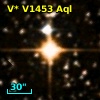 V* V1453 Aql
