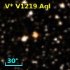 V* V1219 Aql