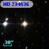 HD 234836