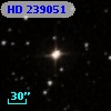 HD 239051