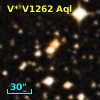 V* V1262 Aql