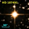 HD 187491