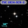 TYC 3924-929-1