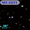 NSV 13171