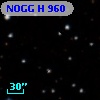 NOGG H  960