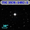 TYC 3928-1492-1