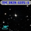 TYC 3929-1375-1