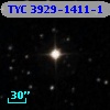TYC 3929-1411-1