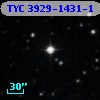 TYC 3929-1431-1