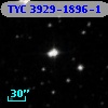 TYC 3929-1896-1