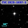 TYC 3929-1897-1