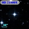 HD 239068