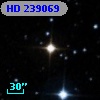 HD 239069