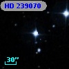 HD 239070