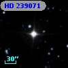 HD 239071