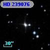 HD 239076