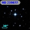 HD 239077