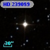 HD 239089