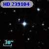 HD 239104