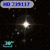 HD 239117