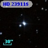 HD 239118
