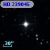 HD 239045