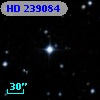 HD 239084