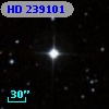 HD 239101