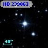 HD 239063