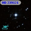 HD 239121