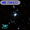 HD 239122