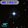 HD 239127
