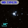 HD 239128