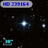 HD 239164