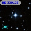 HD 239125